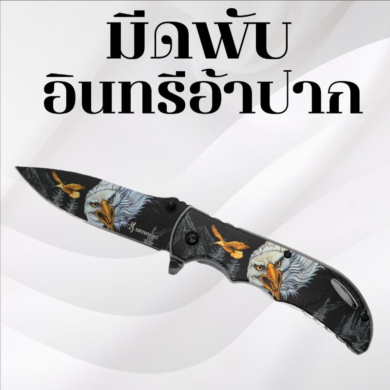 มีดพับ ลายอินทรีอ้าปาก