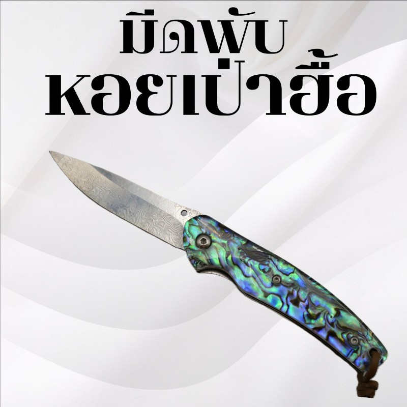 มีดพับหอยเป่าฮื้อ 