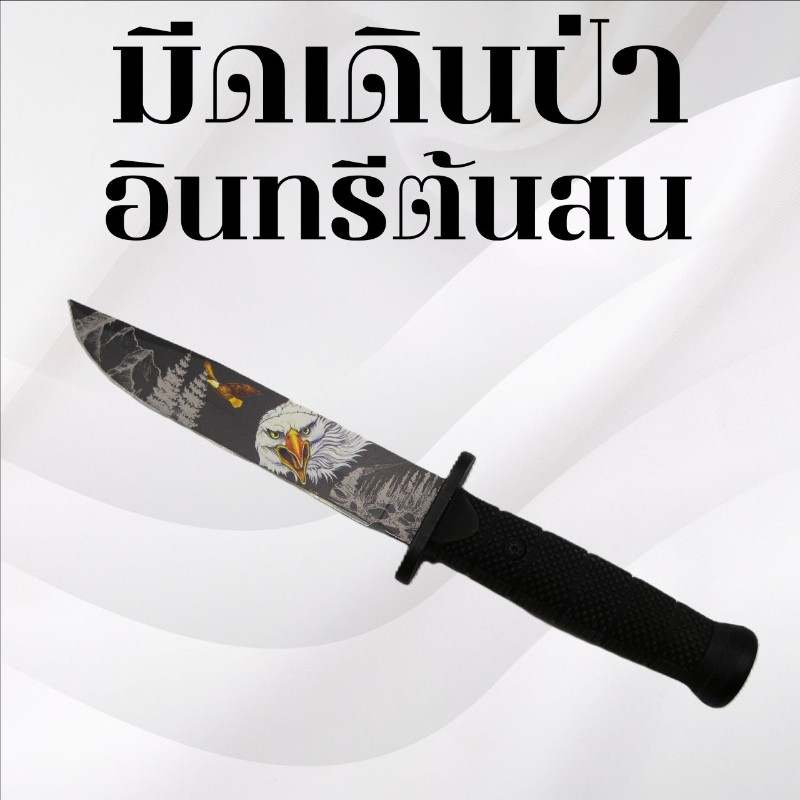 มีดเดินป่า ลายอินทรีต้นสน